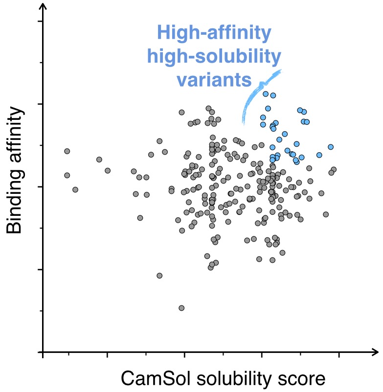 The CamSol method for protein solubility prediction